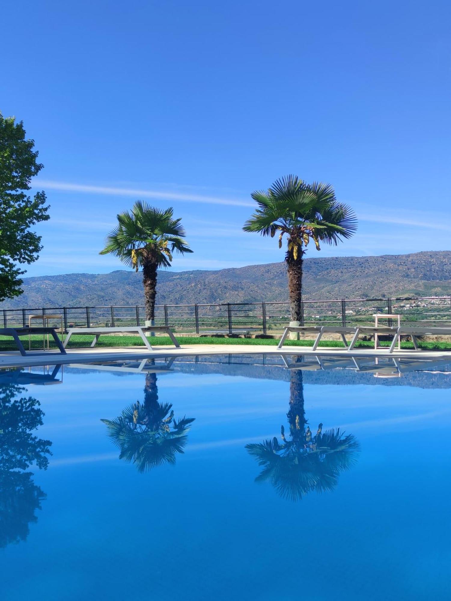 Quinta Da Terrincha Guest House Torre De Moncorvo Exterior photo
