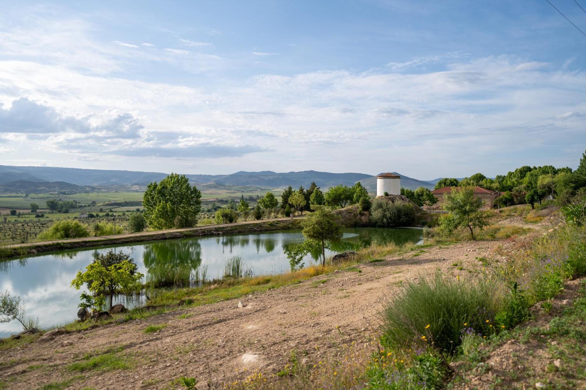 Quinta Da Terrincha Guest House Torre De Moncorvo Exterior photo