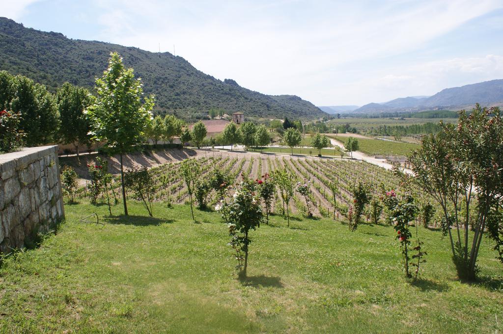 Quinta Da Terrincha Guest House Torre De Moncorvo Exterior photo